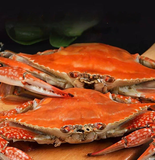 Superior Jumbo Swimming Crab: Bursting with Rich, Creamy Roe and Tomalley